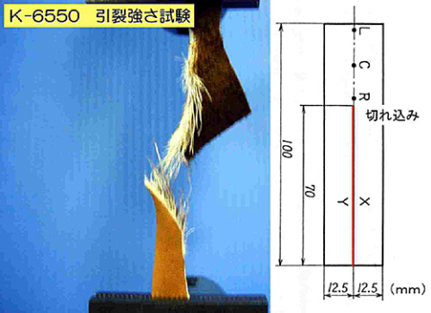 ≪引裂強さ試験≫