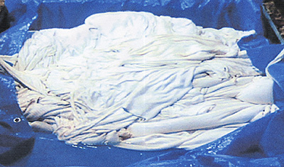 ≪ピックルハイド≫