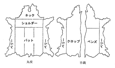 ≪皮革の裁断部位と名称≫