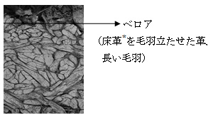 ≪牛床革*断面≫