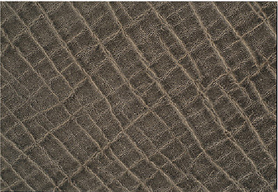 ≪アフリカゾウ ボディ≫